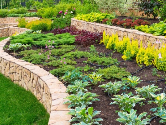 A residential landscape with stone retaining walls housing plant beds. The plants are green, yellow, red, and purple.