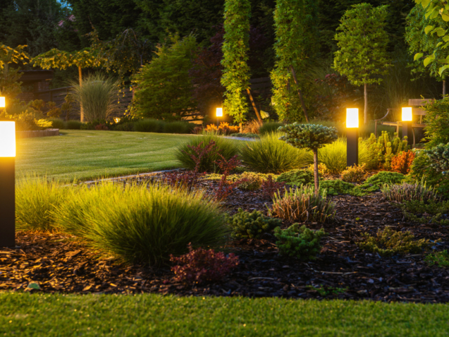 A modern-looking backyard with a trimmed lawn and multiple types of plants. Lamp lights illuminate the plants.