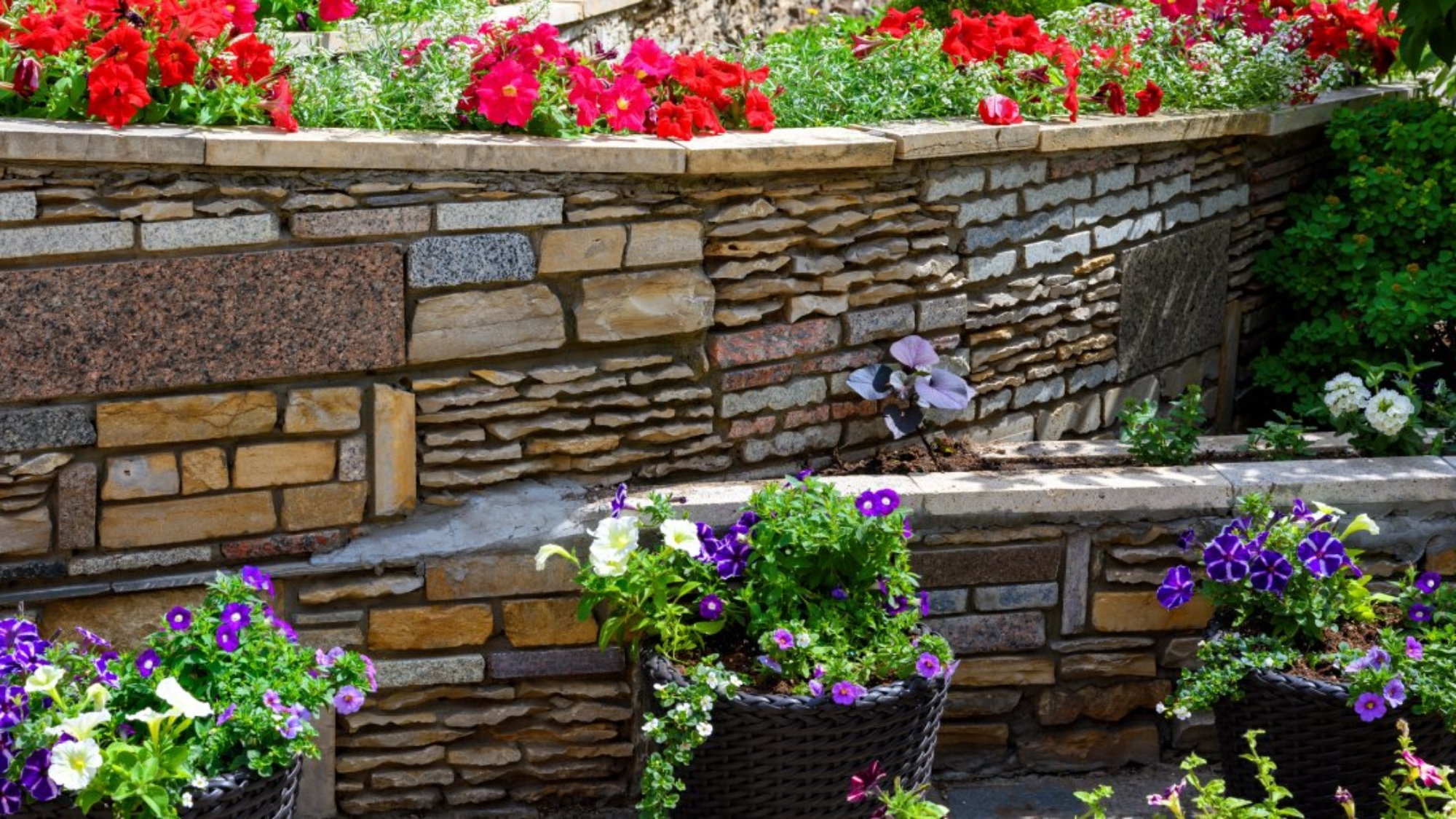 Multiple levels of stone retaining walls that enclose flowers beds filled with different colored flowers.