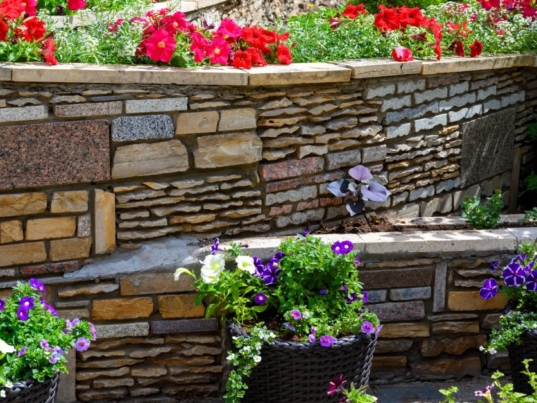Multiple levels of stone retaining walls that enclose flowers beds filled with different colored flowers.