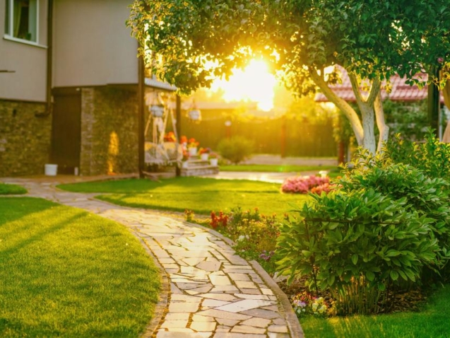 A sunlit backyard contains a stone pathway, lush green grass, vibrant flowers, and a tree casting dappled light.