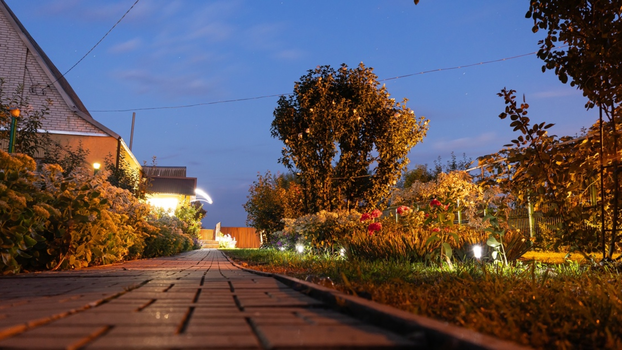 A brick paver walkway leads through an illuminated backyard garden at dusk with trees and landscape lighting visible.