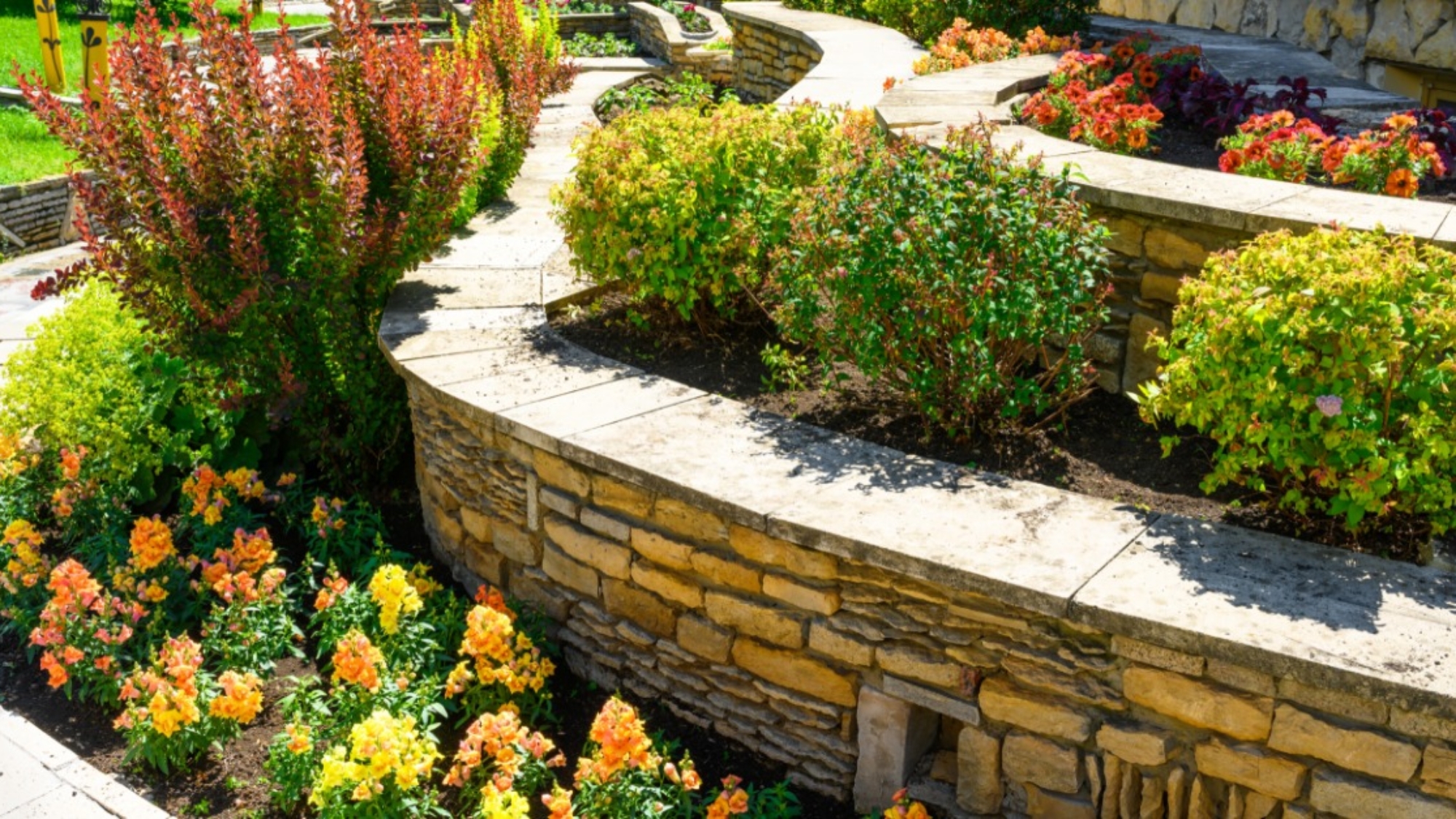 A stone retaining wall curves around bright flower beds and trimmed shrubs in a sunny tiered garden.