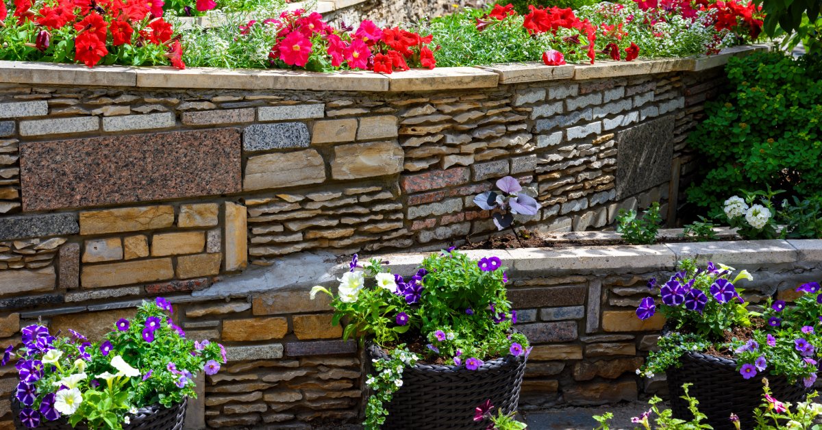 Multiple levels of stone retaining walls that enclose flowers beds filled with different colored flowers.