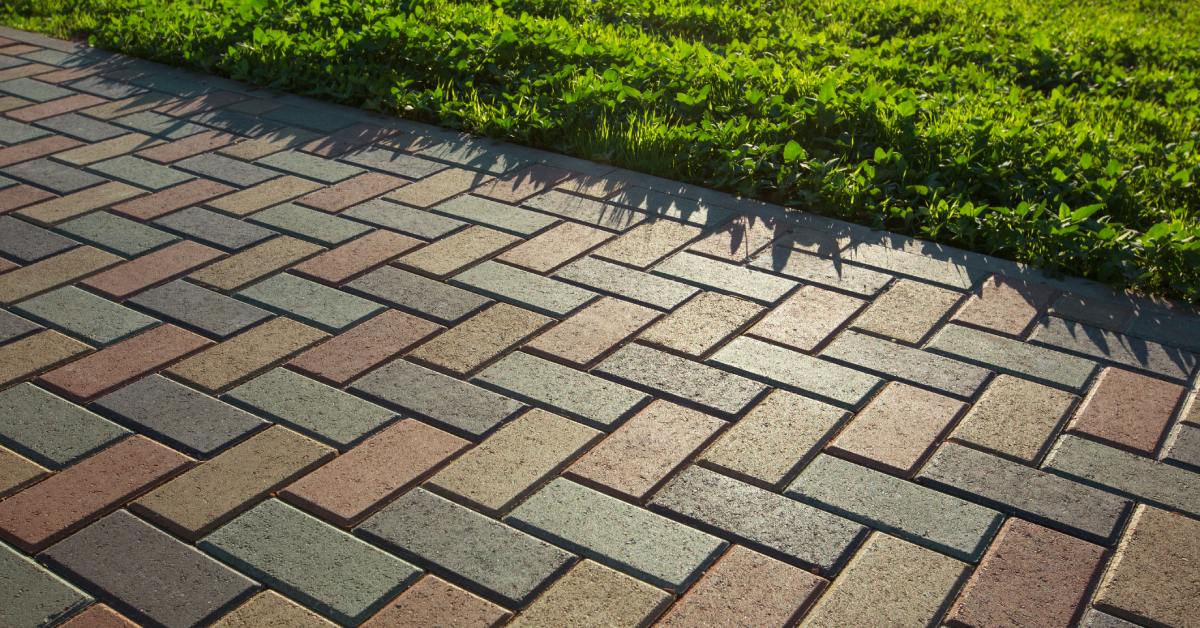 A paved walkway with earthy tones borders a vibrant green lawn, illuminated by sunlight with soft shadows.