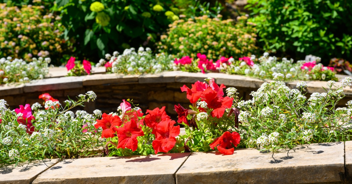 A stone retaining wall borders a circular planter filled with red flowers, white blooms, and dense green shrubs.