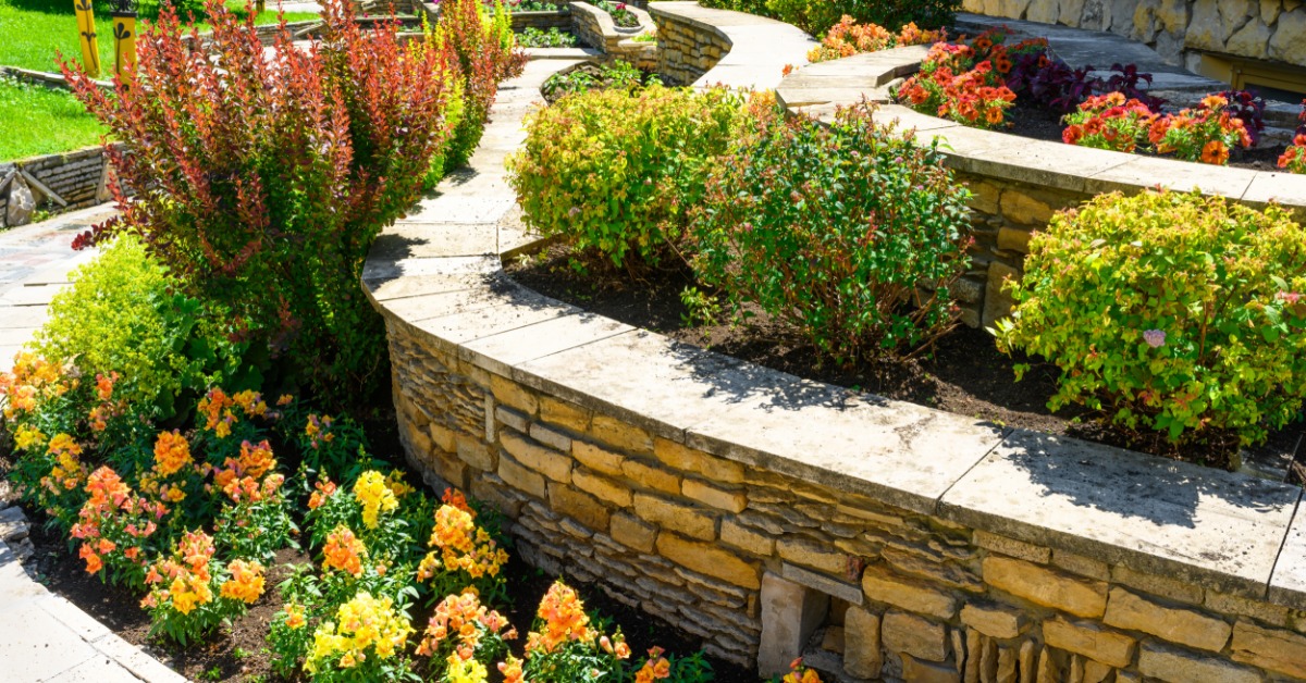 A stone retaining wall curves around bright flower beds and trimmed shrubs in a sunny tiered garden.